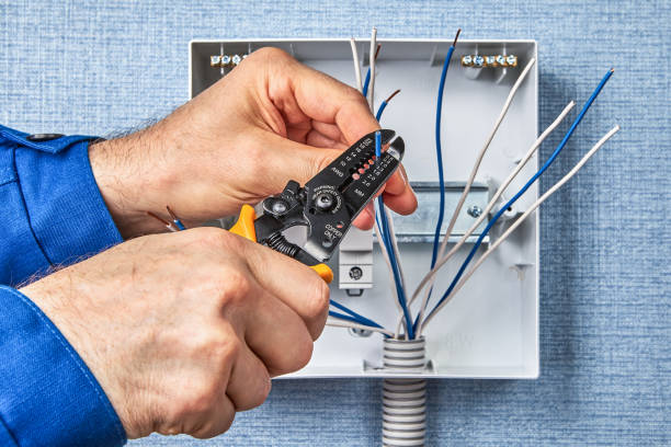 Best Electrical Panel Upgrades  in Meadow Vista, CA